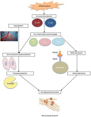 Nutrition Interventions in Rheumatoid Arthritis: The Potential Use of Plant-Based Diets. A Review